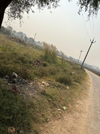 Land for Sale in Mant, Vrindavan