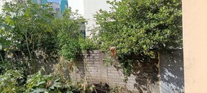 Plot Area in  Plot at Panchak – for Sale