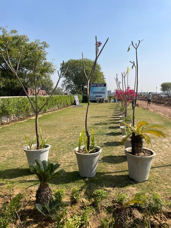 Plot for Sale in Barsana, Vrindavan