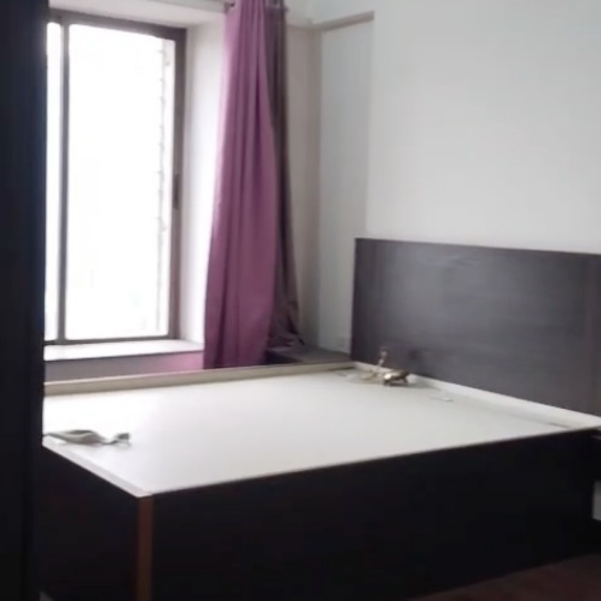 2 BHK + Extra Room Apartment For Rent in Ekta Meadows