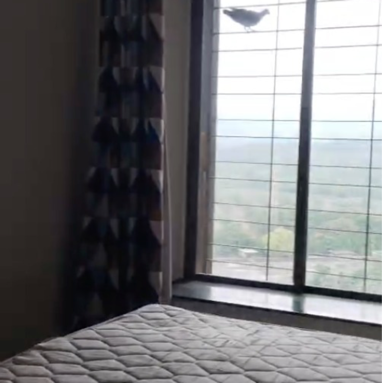 Room, ekta-meadows 2 Bedroom 940 Sq.Ft. Apartment In Khatau Estate Mumbai 9436287