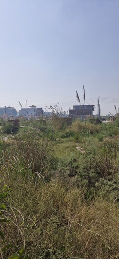 Plot For Sale in Sector 34
