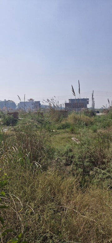  Plot For Sale in Sector 34