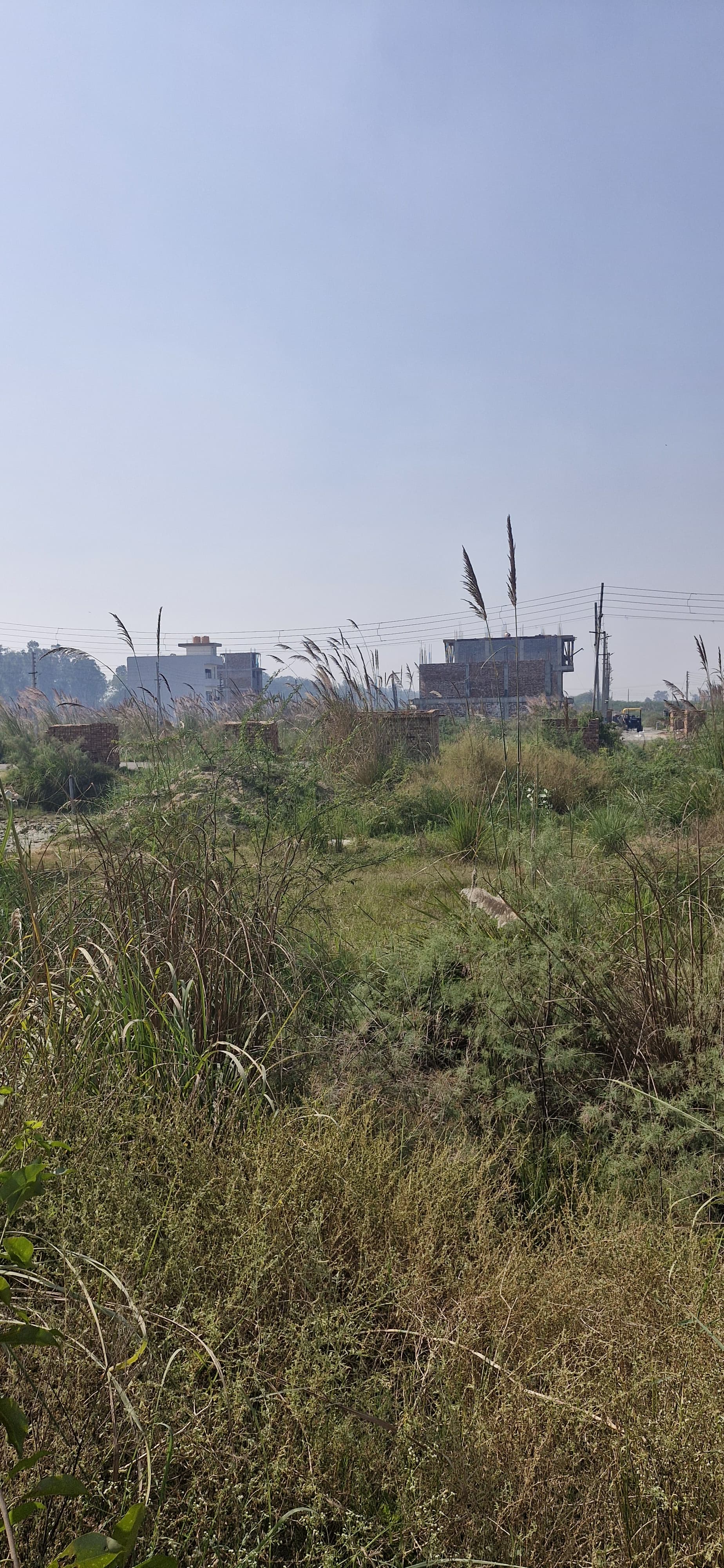 Plot For Sale in Sector 34