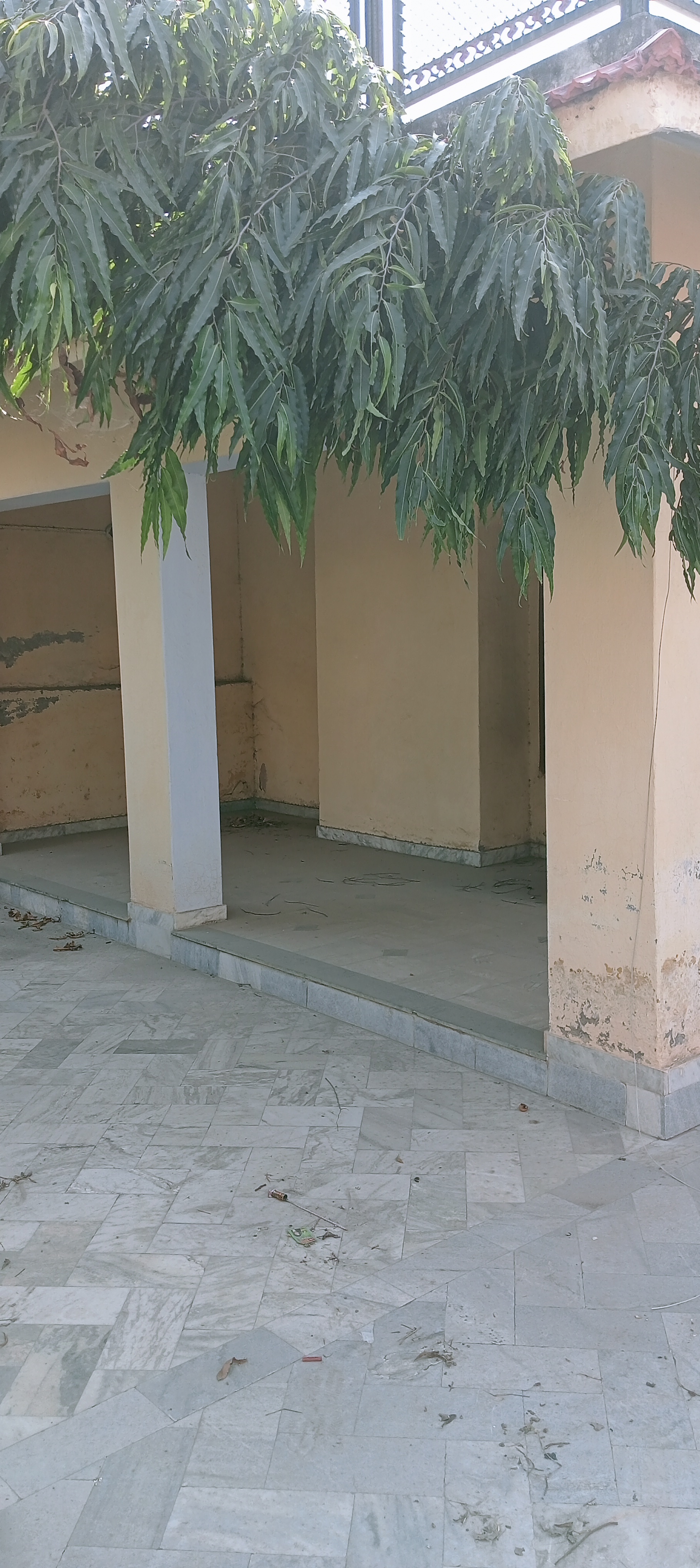 5 BHK Independent House For Sale in Google Property 