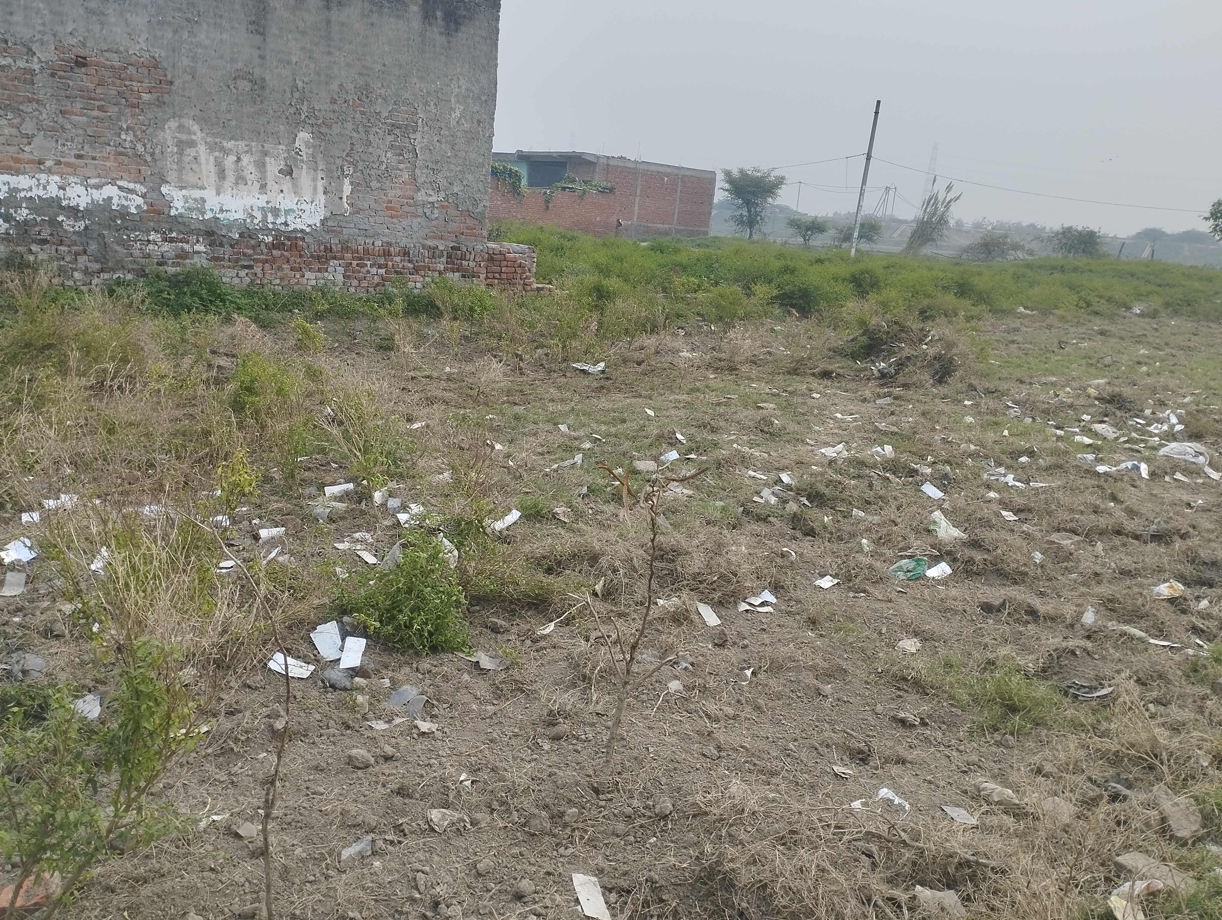 Plot For Sale in Tronica City