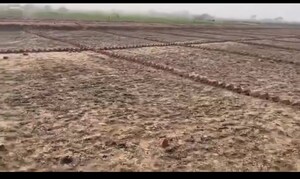 Plot Area in  Plot at Sohna – for Sale