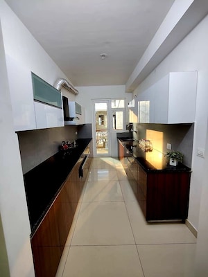 Kitchen in 3 BHK Apartment at Hermitage Centralis, Vip Road – for Rent