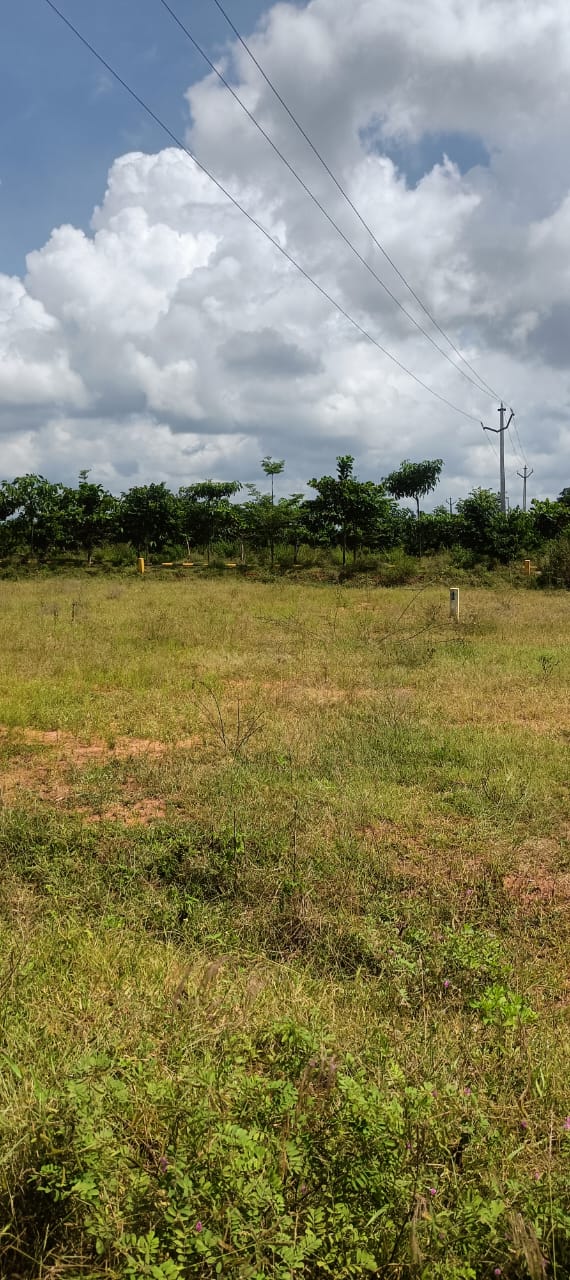 Plot For Sale in Fortune Butterfly City