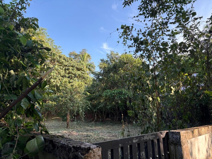 Garden, velappaya  4357 Sq.Ft. Plot In Velappaya Thrissur 9439284