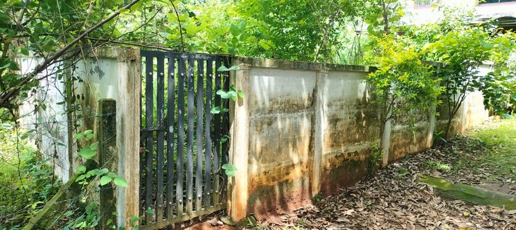 Exterior View, velappaya  4357 Sq.Ft. Plot In Velappaya Thrissur 9439284