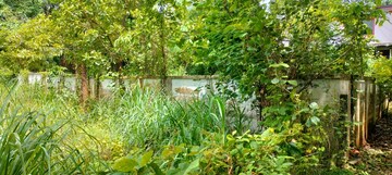 Plot Area in  Plot at Velappaya – for Sale