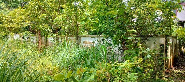 undefined, velappaya  4357 Sq.Ft. Plot In Velappaya Thrissur 9439284