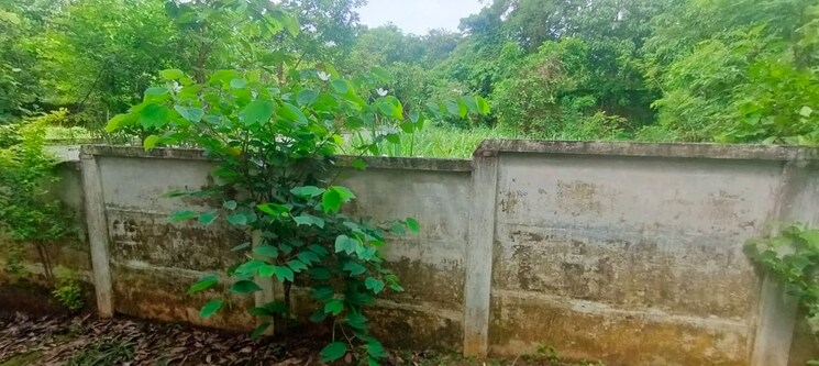 undefined, velappaya  4357 Sq.Ft. Plot In Velappaya Thrissur 9439284