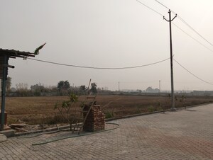 Plot Area in  Industrial Plot at Chithara – for Sale