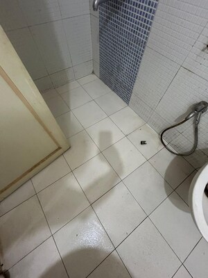 Bathroom in 2 BHK Builder Floor at Pimple Nilakh – for Sale