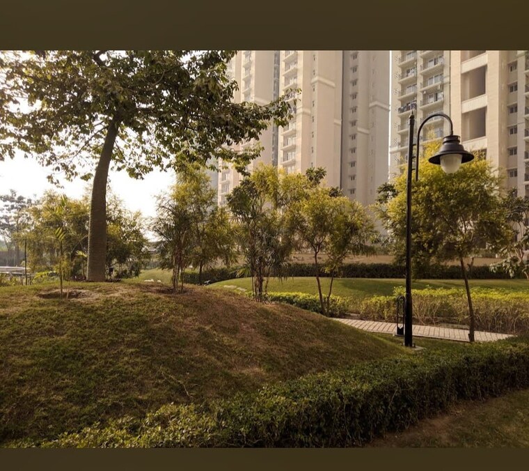 Garden, sarin-farm-chs  100 Sq.Yd. Plot In Habibpur Greater Noida 9440746