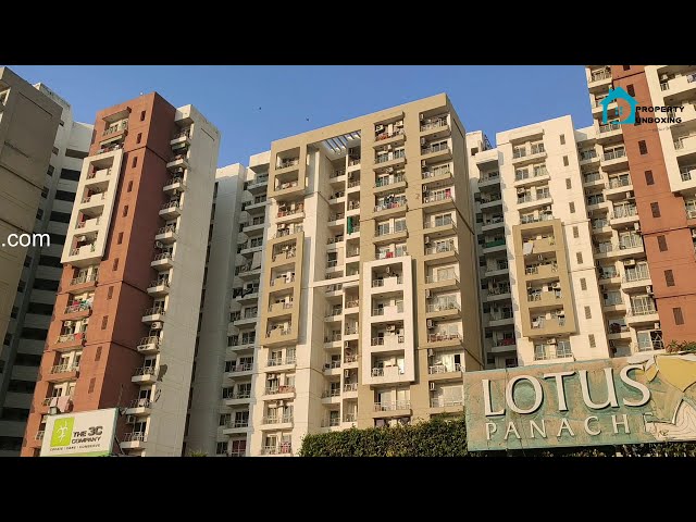 2 BHK Apartment For Rent in Lotus Panache