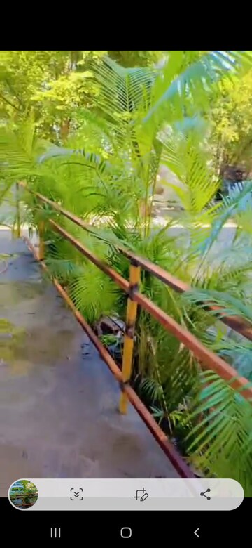 3 BHK Apartment – Garden View at Meera Society 2, Pune Cantonment - for Rent