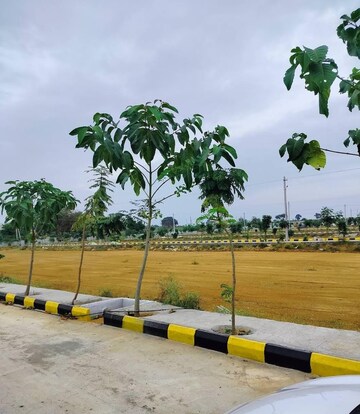  Plot – Garden View at Serac SSK Nandan County, Rudraram - for Sale
