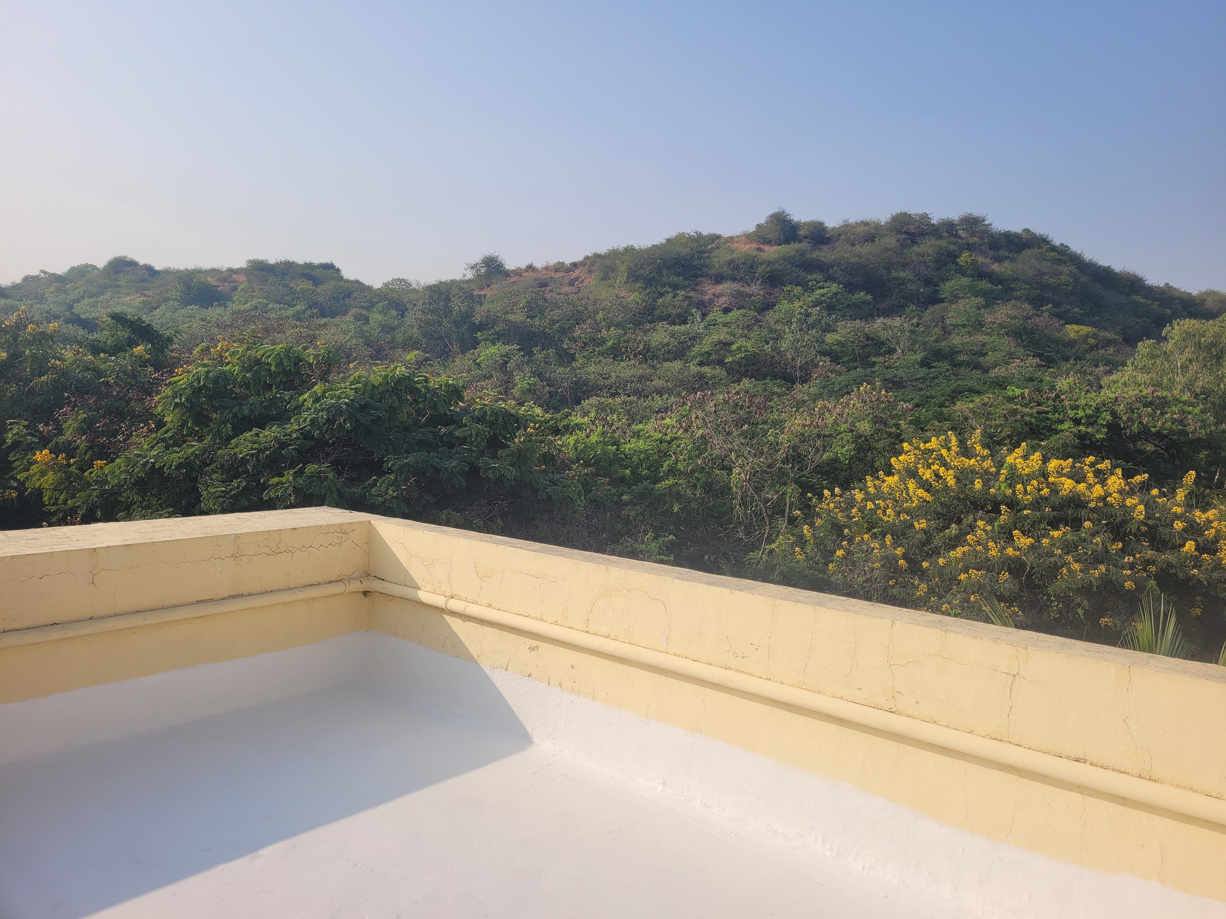 2 BHK + Extra Room Apartment For Rent in Bhosale Enclave