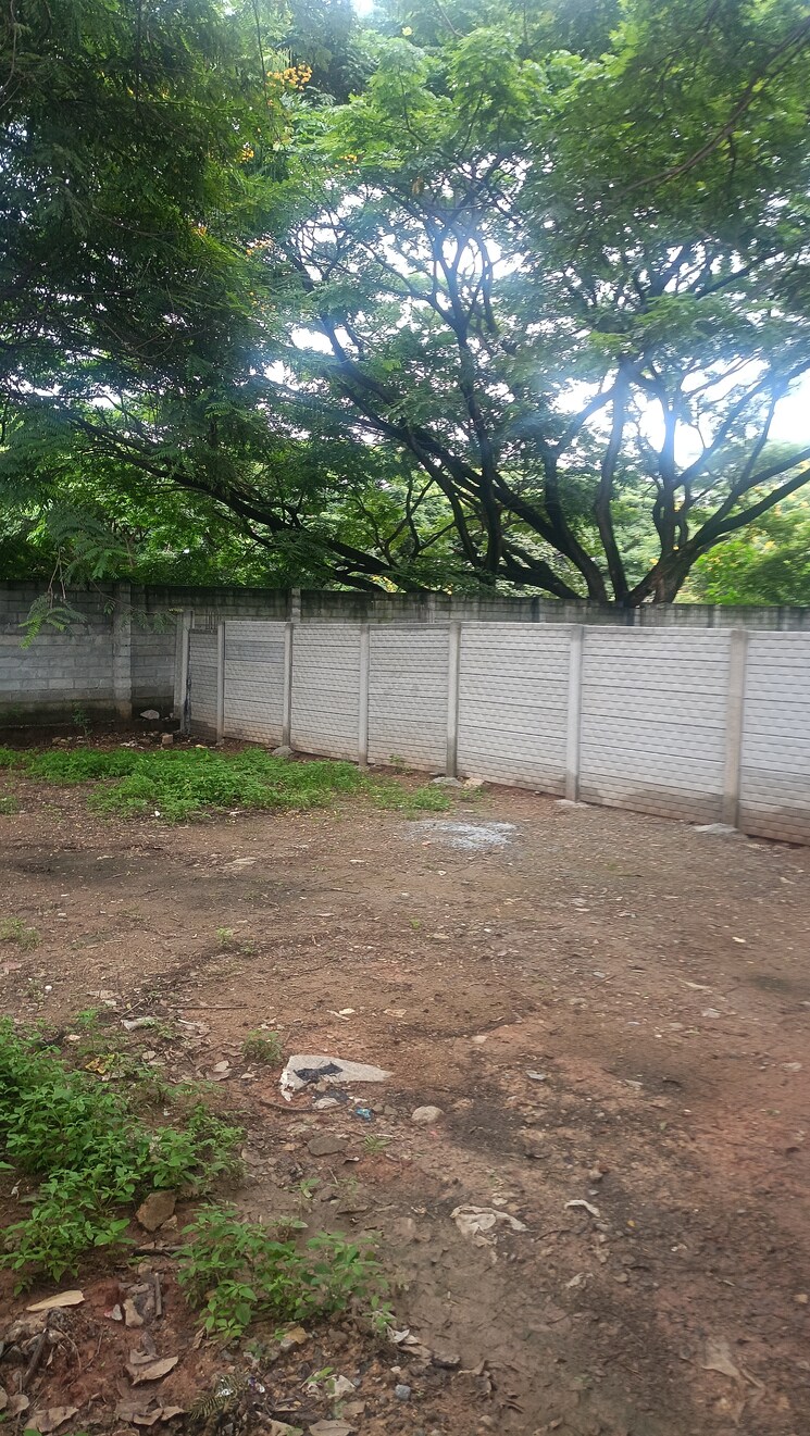 undefined, doddakammanahalli  1200 Sq.Ft. Plot In Doddakammanahalli Bangalore 9441211