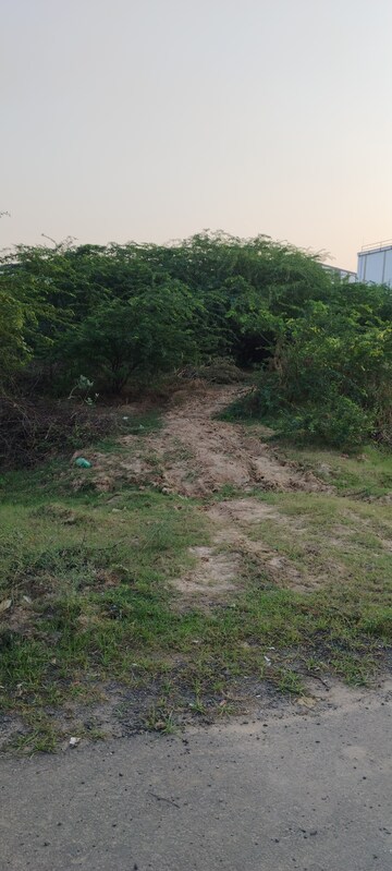  Industrial Plot For Sale in Sanand