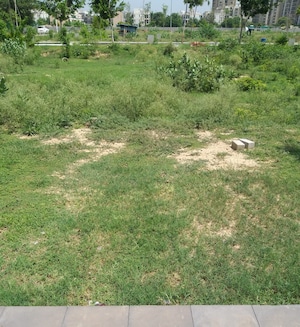 Plot Area in  Plot at Sector 83 – for Sale