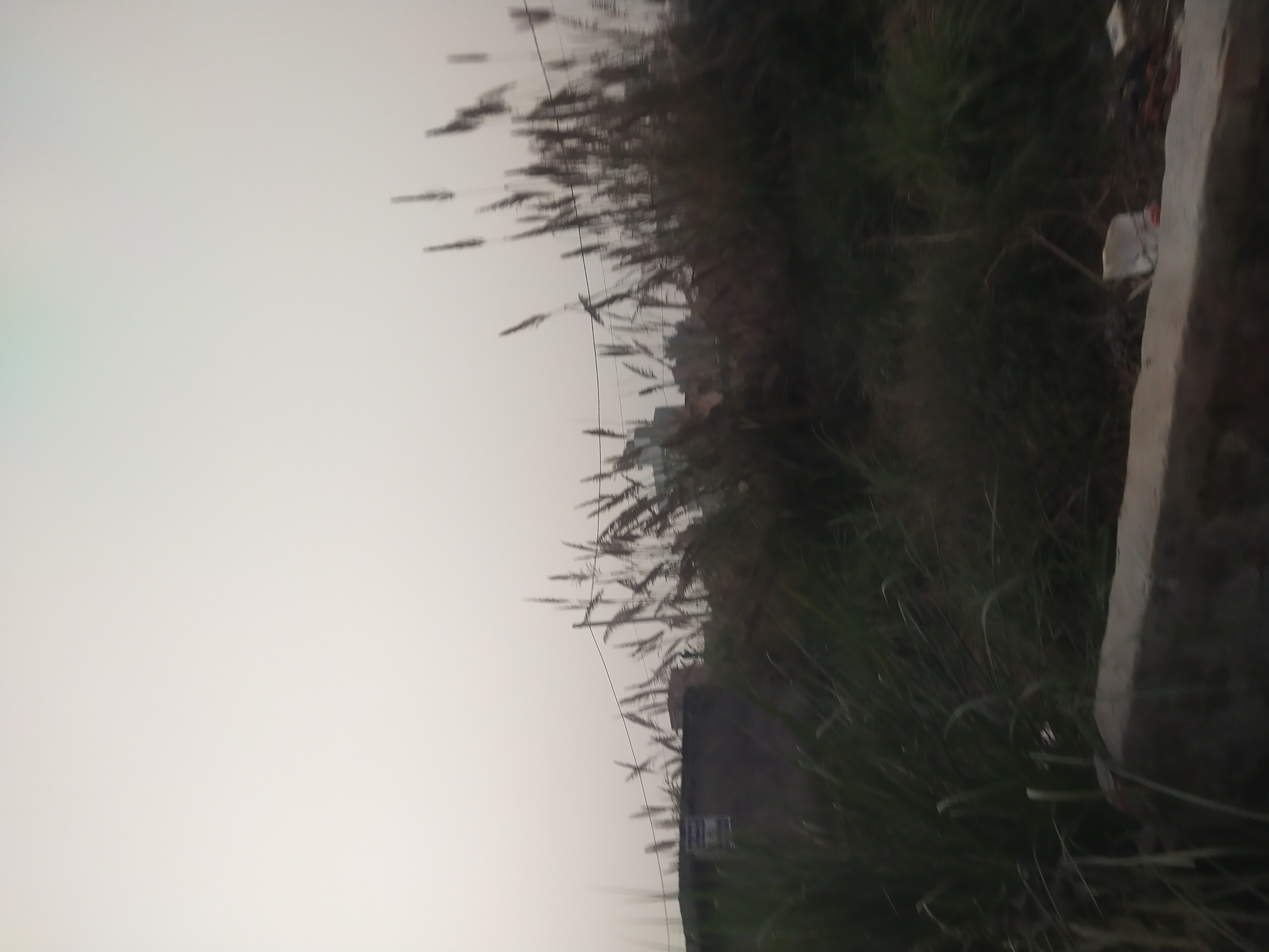 Plot For Sale in Stellar Gymkhana