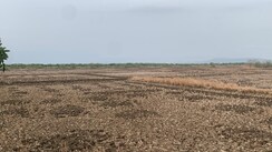 Plot For Sale in Investment Plot 
