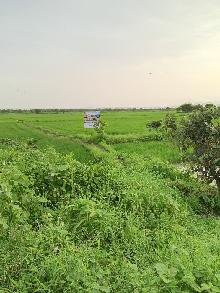 Garden, uran  3267 Sq.Ft. Plot In Uran Navi Mumbai 9442050