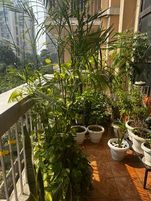 3 BHK Apartment – Exterior View View at Eldeco Mystic Greens, Omicron I Greater Noida - for Sale