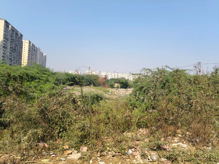 Cover Image, zeta i greater noida  350 Sq.Mt. Plot In Zeta I Greater Noida Greater Noida 9443482