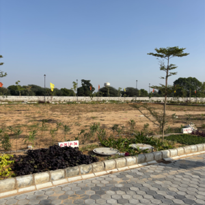 Plot Area in  Plot at Yaduraj Enclave, Prithvisinghpura At Naiwala – for Sale