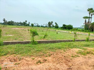 Plot Area in  Plot at Diwancheruvu – for Sale