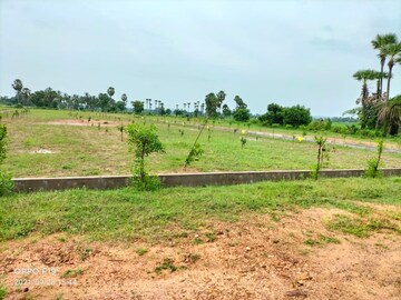 Plot Area in  Plot at Diwancheruvu – for Sale