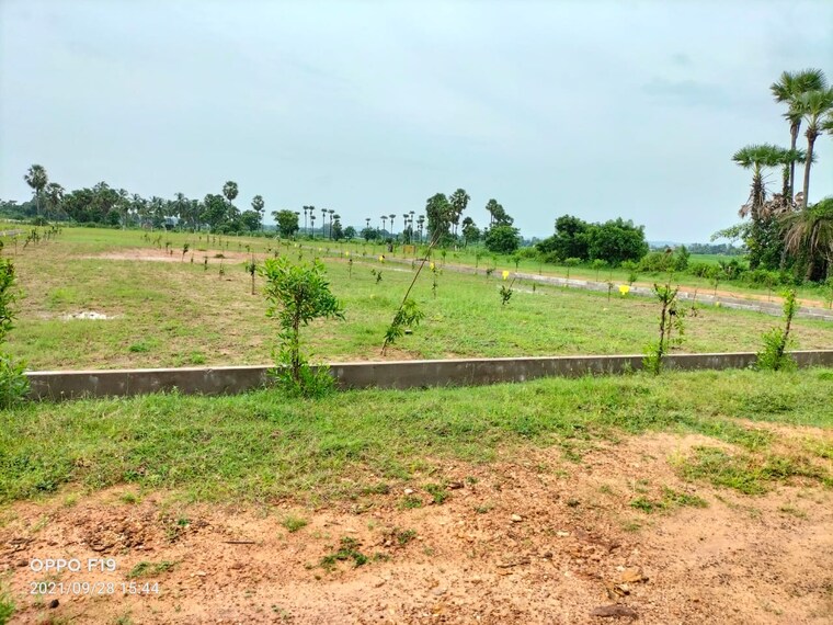 undefined, diwancheruvu  150 Sq.Yd. Plot In Diwancheruvu Rajahmundry 9443632