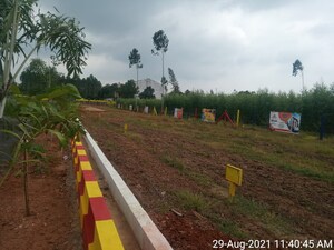 Plot Area in  Plot at Diwancheruvu – for Sale