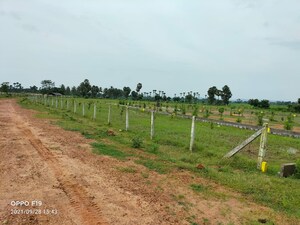  Plot For Sale in Diwancheruvu