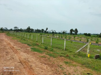 Plot for Sale in Diwancheruvu, Rajahmundry