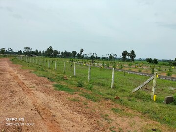  Plot For Sale in Diwancheruvu