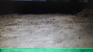  Plot For Sale in Vasanth Nagar