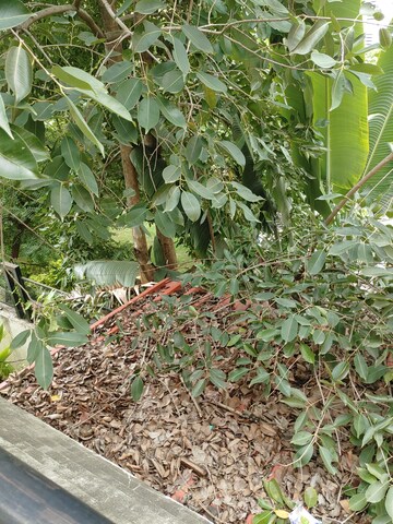 Balcony in 3 BHK Apartment at Dreams Rhythm, Bavdhan – for Rent