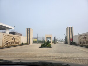  Plot For Sale in Amolik Aster Woods, Sector 98