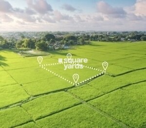 Plot Area in  Plot at YEIDA Plots, Dankaur – for Sale