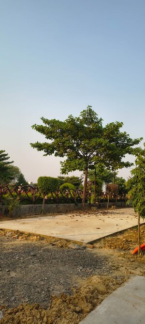 Plot Area in  Plot at Sujanpur – for Sale