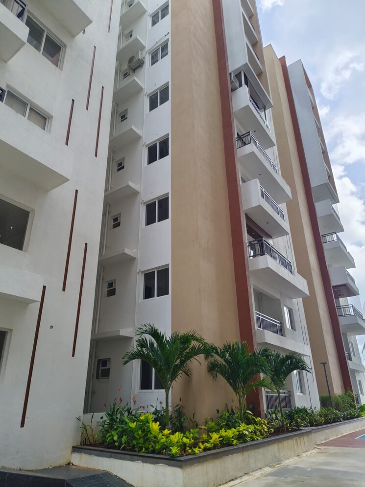 Exterior View, osman nagar 2 Bedroom 1295 Sq.Ft. Apartment In Osman Nagar Hyderabad 9443945