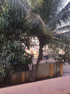 2 BHK Apartment – Exterior View View at Padale Paradise, Mahalunge - for Rent