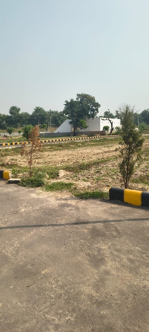 Plot Area in  Plot at Sujanpur – for Sale