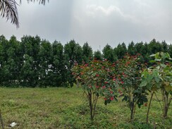 Plot For Sale in Ras Enclave 